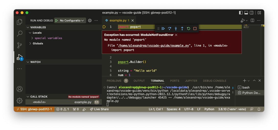 PopART module not found while debugging